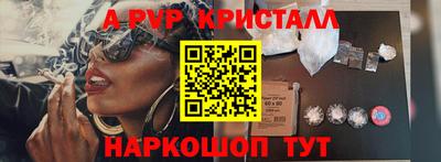 прущие грибы Камышлов