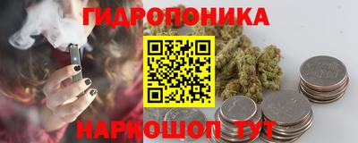 прущие грибы Камышлов