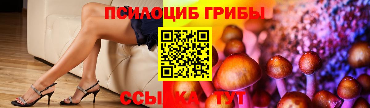 Галлюциногенные грибы Psilocybine cubensis Верхняя Пышма